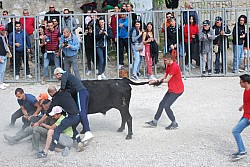 Abrivado pernes  2023_27.jpg