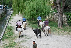 Abrivado pernes  2023_28.jpg