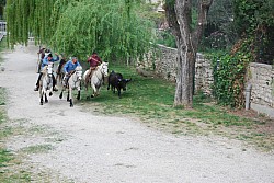 Abrivado pernes  2023_29.jpg