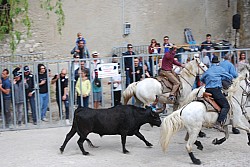 Abrivado pernes  2023_30.jpg