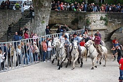 Abrivado pernes  2023_31.jpg
