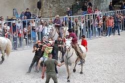 Abrivado pernes  2023_32.jpg