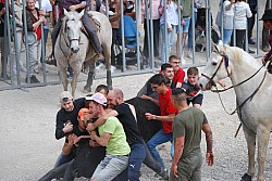 Abrivado pernes  2023_33.jpg