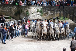 Abrivado pernes  2023_35.jpg