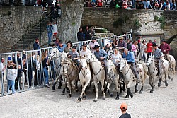 Abrivado pernes  2023_36.jpg