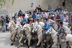 Abrivado pernes  2023_37.jpg