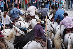 Abrivado pernes  2023_41.jpg