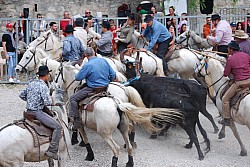 Abrivado pernes  2023_42.jpg