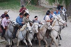 Abrivado pernes  2023_43.jpg