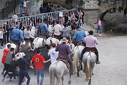 Abrivado pernes  2023_44.jpg