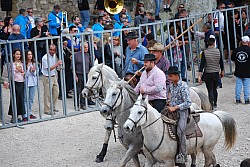 Abrivado pernes  2023_46.jpg