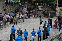 Abrivado pernes  2023_50.jpg