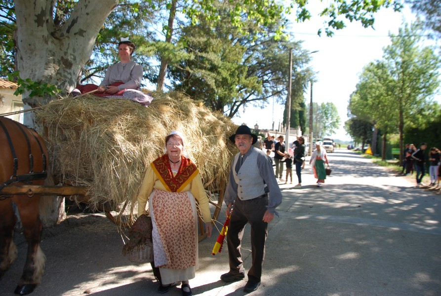 Foire_chevaux_beda_2024.jpg