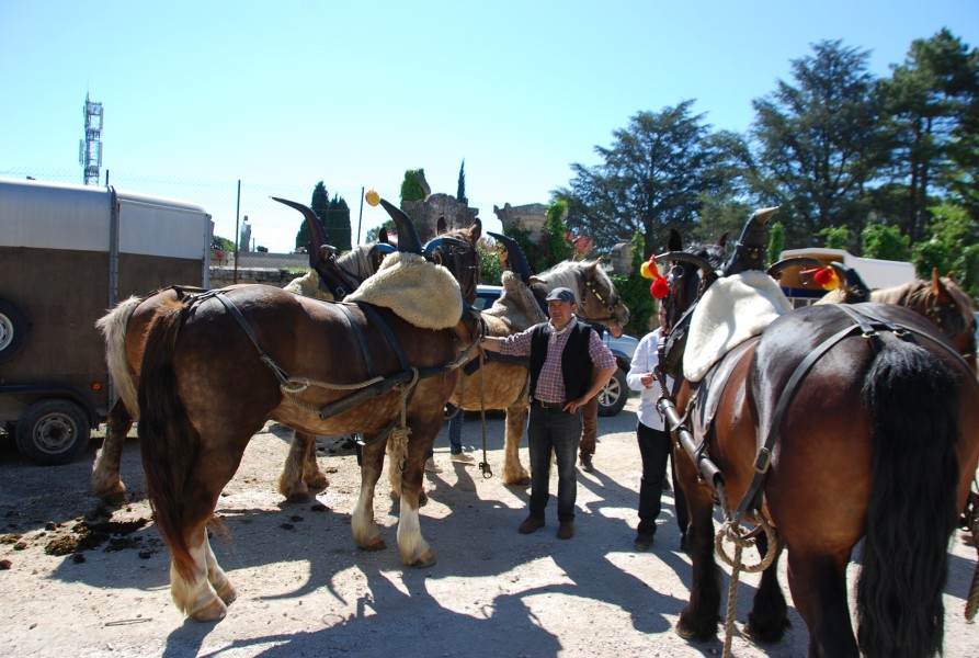 Foire_chevaux_beda_2024_06.jpg