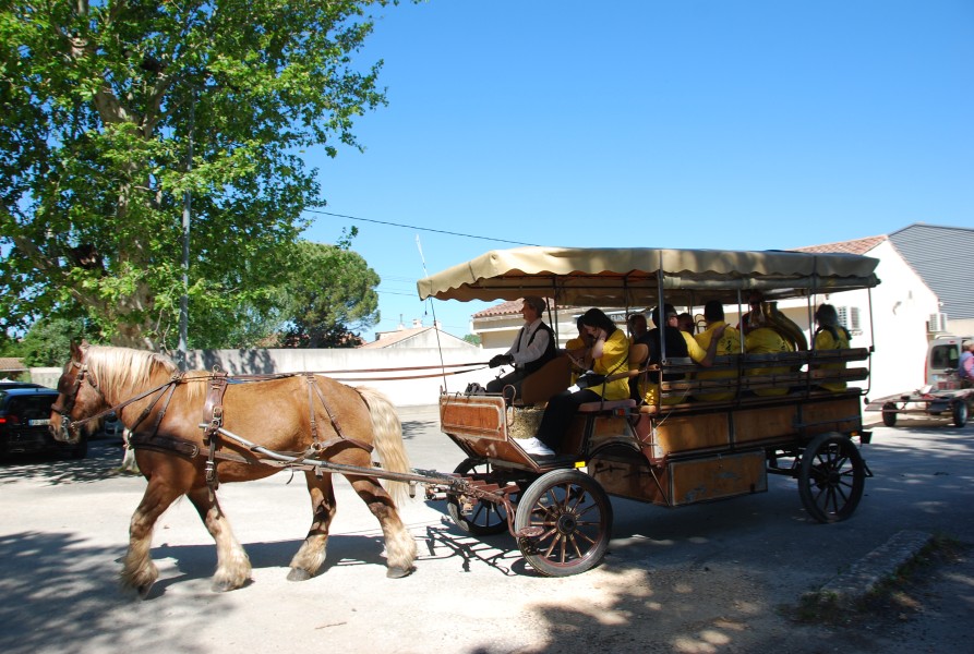 Foire_chevaux_beda_2024_10.jpg