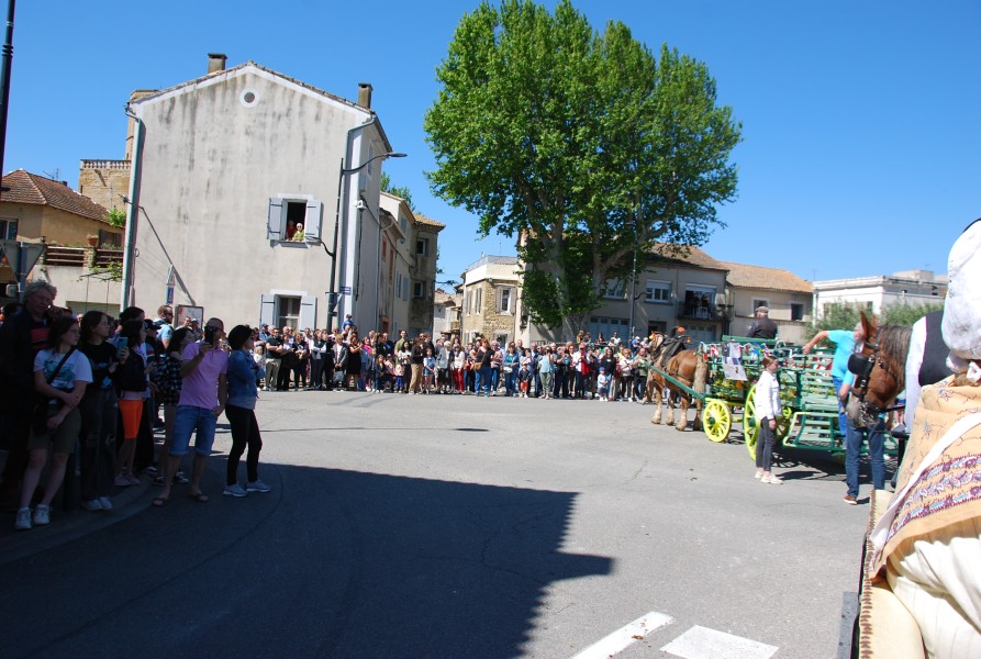 Foire_chevaux_beda_2024_15.jpg