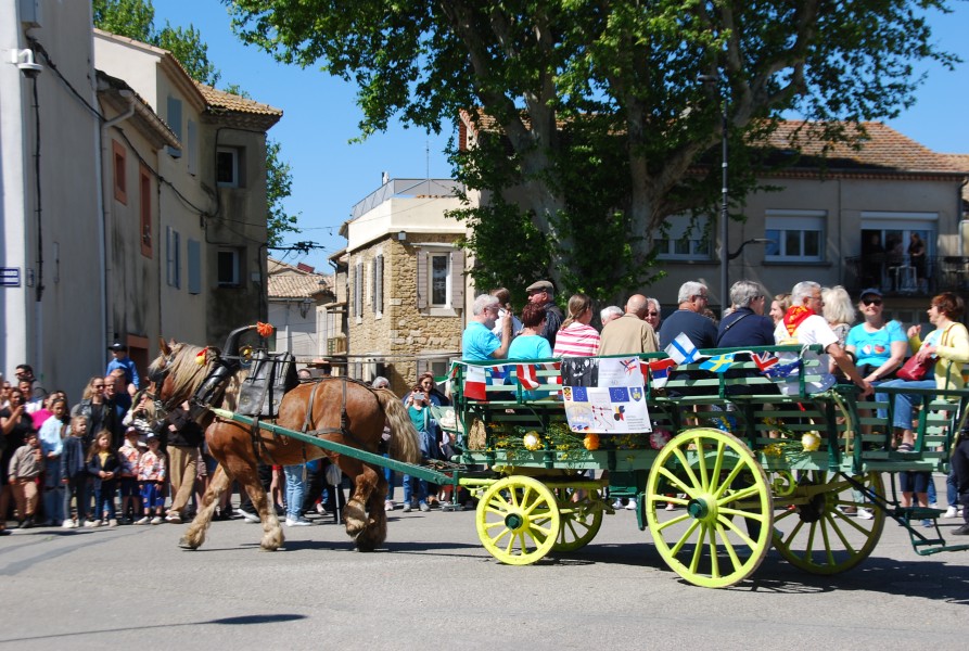 Foire_chevaux_beda_2024_16.jpg