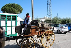 Foire_chevaux_beda_2024_02.jpg Foire_chevaux_beda_2024_02.jpg