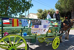 Foire_chevaux_beda_2024_03.jpg Foire_chevaux_beda_2024_03.jpg
