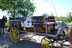 Foire_chevaux_beda_2024_04.jpg Foire_chevaux_beda_2024_04.jpg
