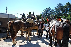 Foire_chevaux_beda_2024_06.jpg Foire_chevaux_beda_2024_06.jpg