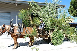 Foire_chevaux_beda_2024_07.jpg Foire_chevaux_beda_2024_07.jpg
