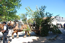 Foire_chevaux_beda_2024_09.jpg Foire_chevaux_beda_2024_09.jpg
