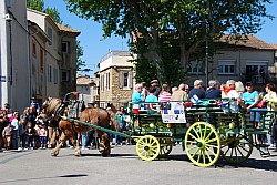Foire_chevaux_beda_2024_16.jpg Foire_chevaux_beda_2024_16.jpg