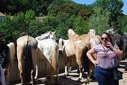 Foire_chevaux_beda_2024_26.jpg Foire_chevaux_beda_2024_26.jpg