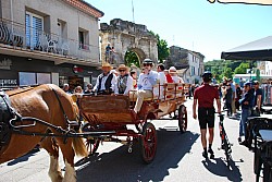 Foire_chevaux_beda_2024_36.jpg Foire_chevaux_beda_2024_36.jpg