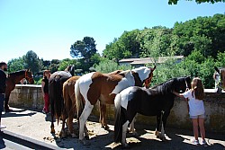 Foire_chevaux_beda_2024_43.jpg Foire_chevaux_beda_2024_43.jpg