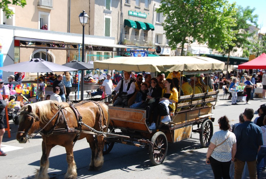 Foire_chevaux_beda_2024_52.jpg