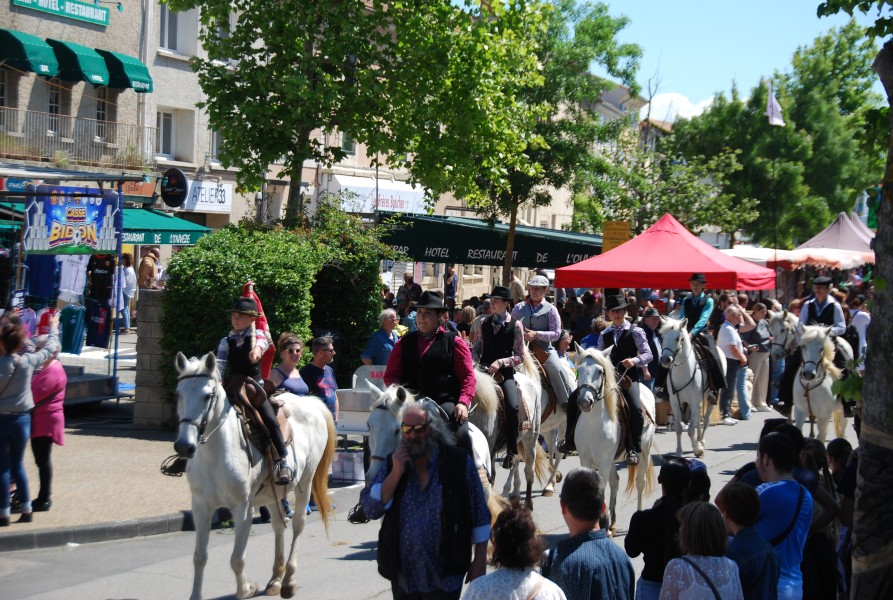Foire_chevaux_beda_2024_54.jpg