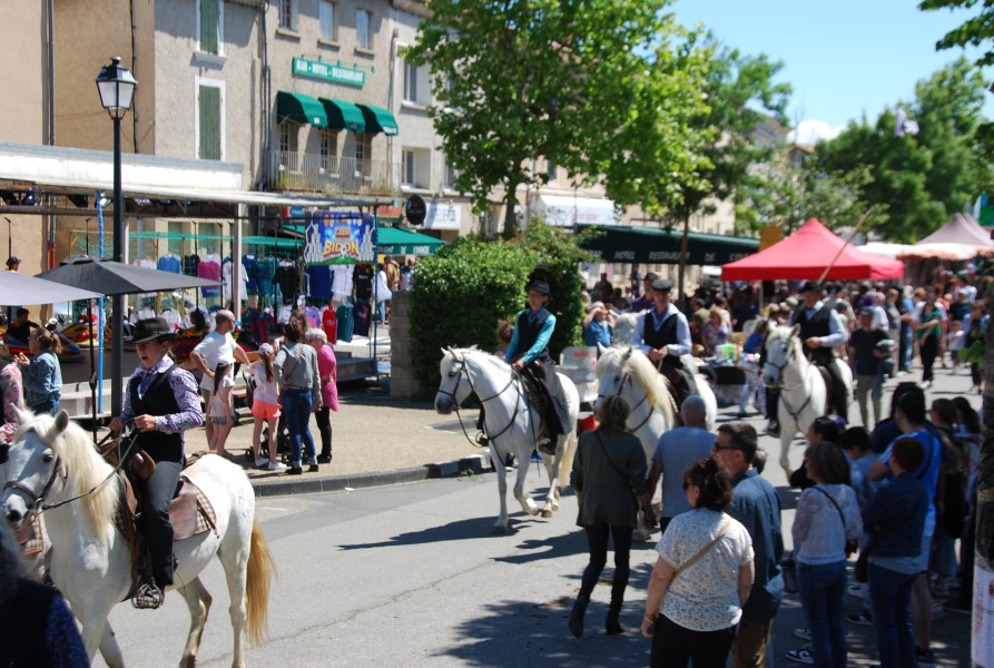 Foire_chevaux_beda_2024_55.jpg