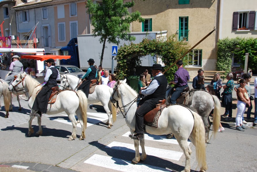 Foire_chevaux_beda_2024_56.jpg