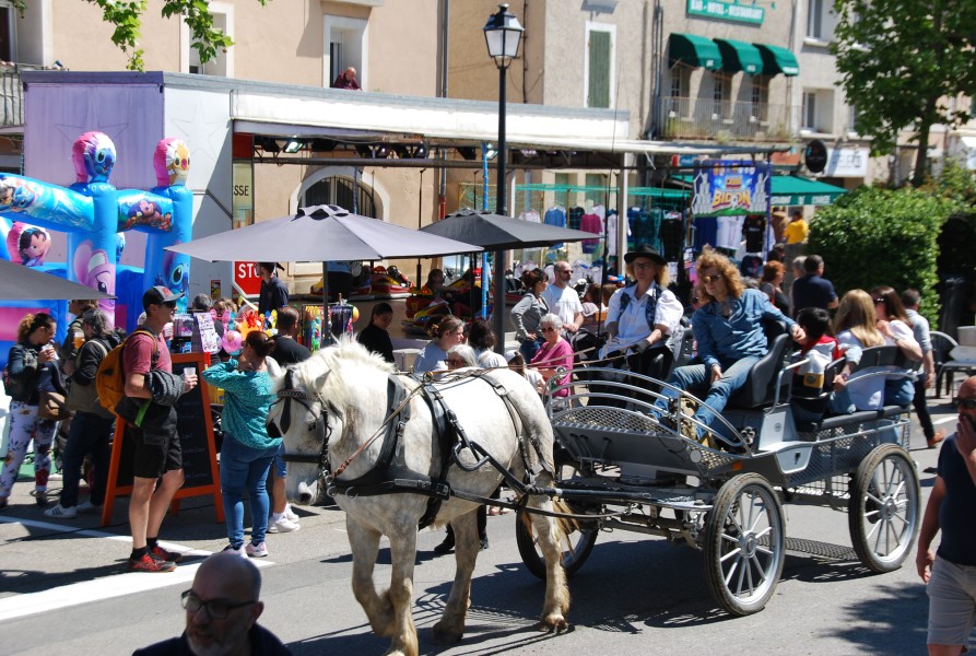 Foire_chevaux_beda_2024_59.jpg