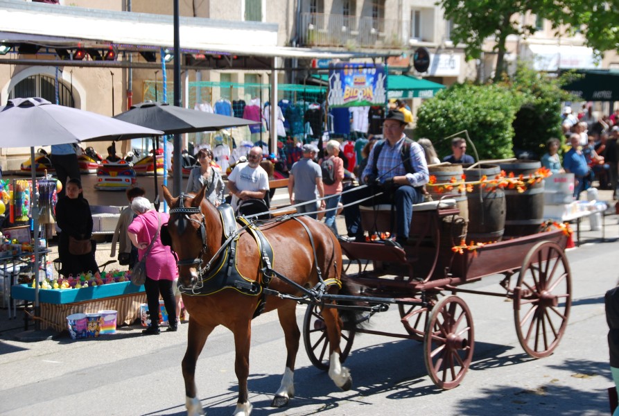 Foire_chevaux_beda_2024_64.jpg