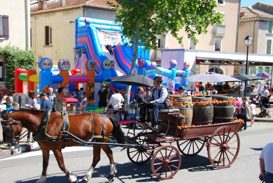 Foire_chevaux_beda_2024_65.jpg