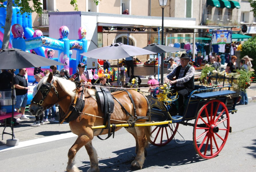 Foire_chevaux_beda_2024_66.jpg