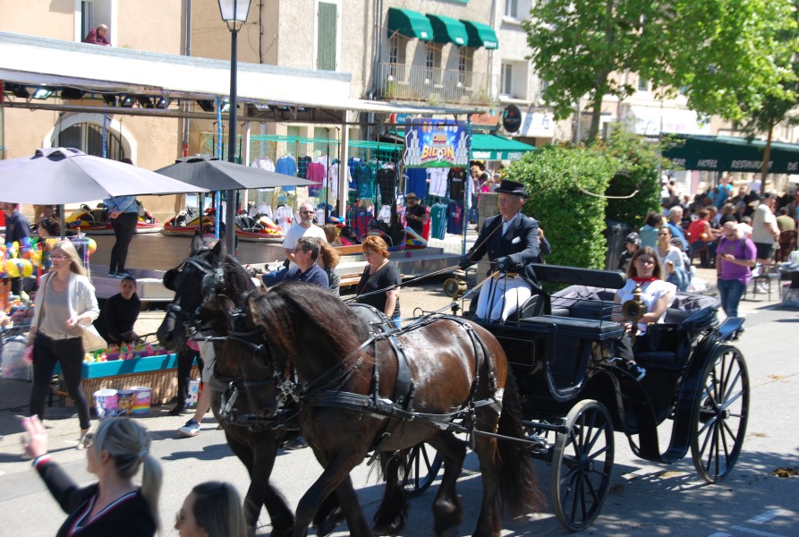 Foire_chevaux_beda_2024_67.jpg