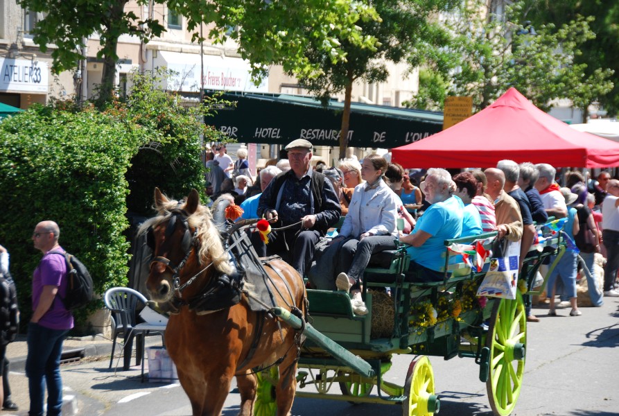 Foire_chevaux_beda_2024_68.jpg
