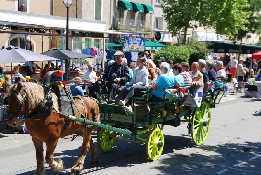 Foire_chevaux_beda_2024_69.jpg