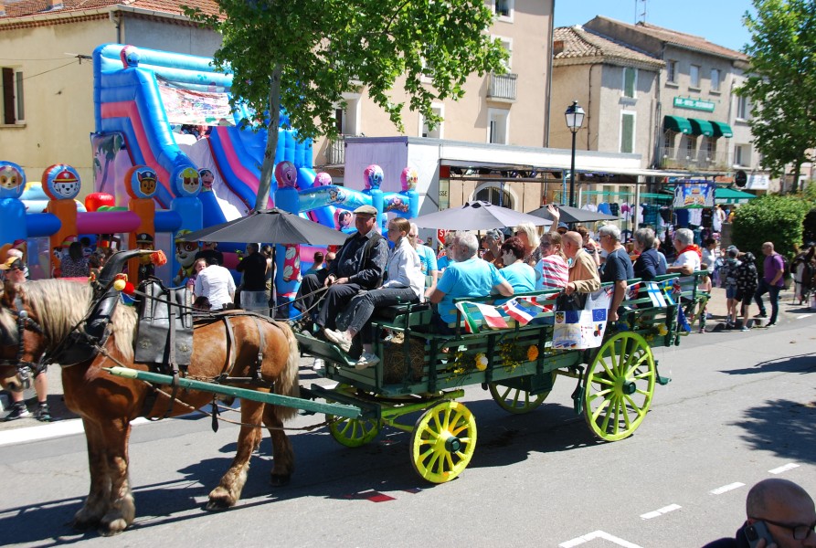Foire_chevaux_beda_2024_70.jpg