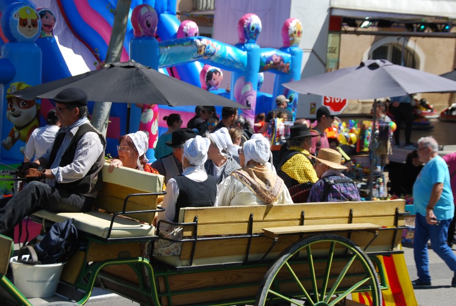 Foire_chevaux_beda_2024_71.jpg