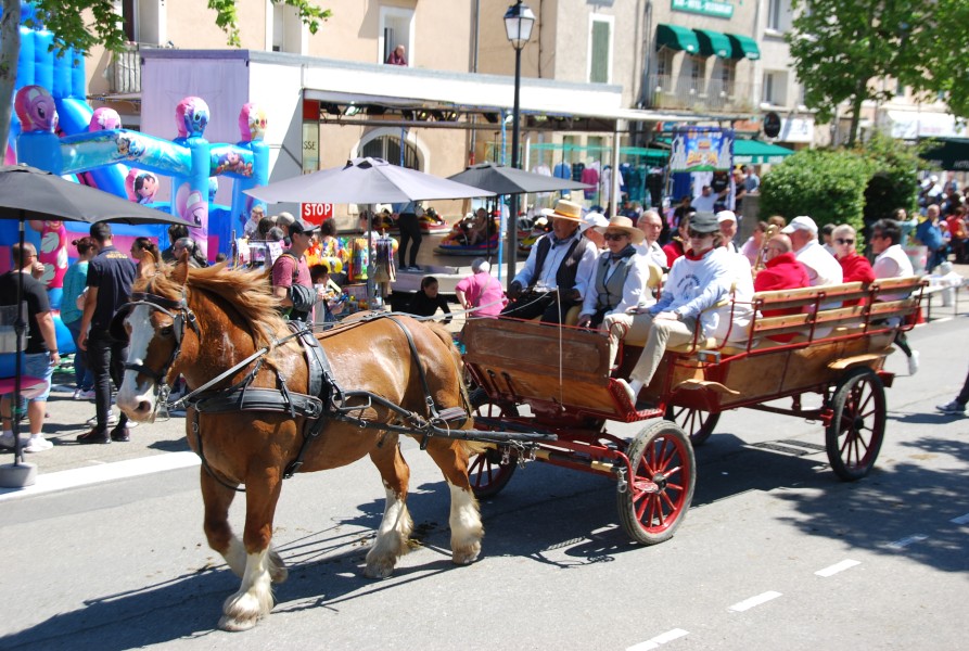 Foire_chevaux_beda_2024_75.jpg