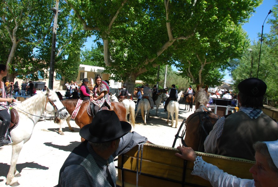 Foire_chevaux_beda_2024_92.jpg