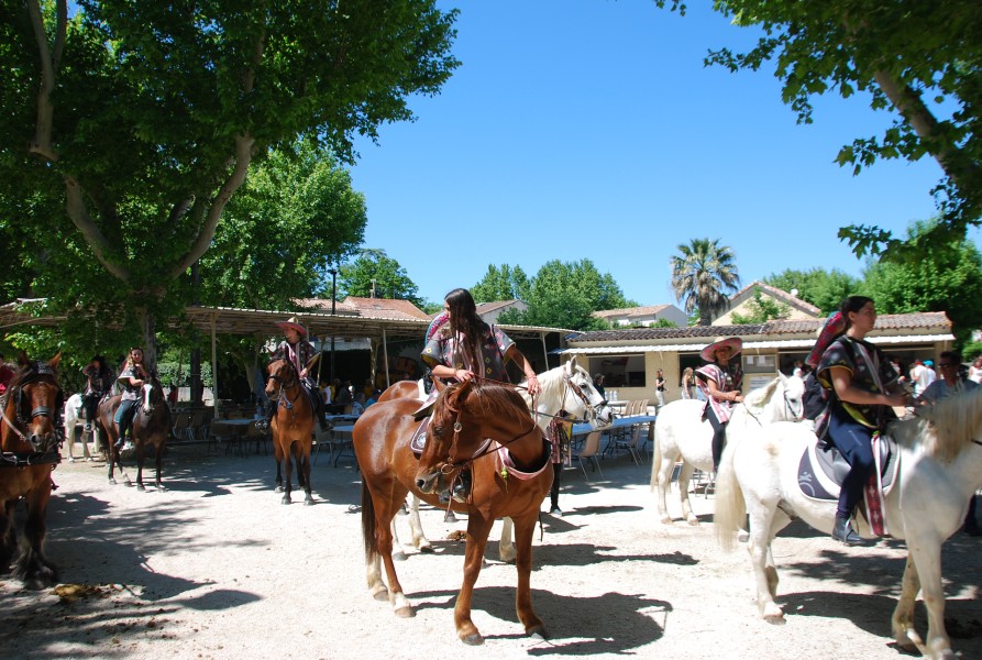 Foire_chevaux_beda_2024_93.jpg