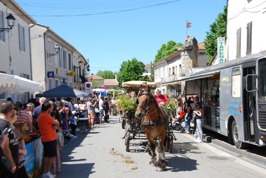 Foire_chevaux_beda_2024_95.jpg