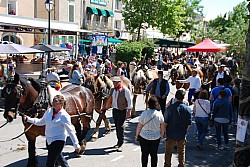 Foire_chevaux_beda_2024_49.jpg
