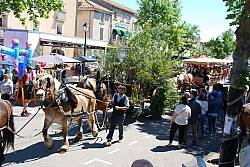 Foire_chevaux_beda_2024_51.jpg